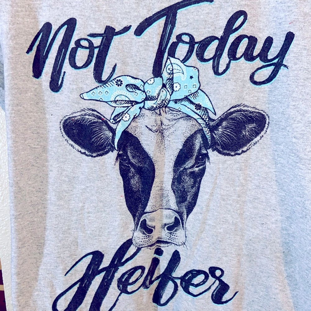 2/$20 Tshirt not today heifer